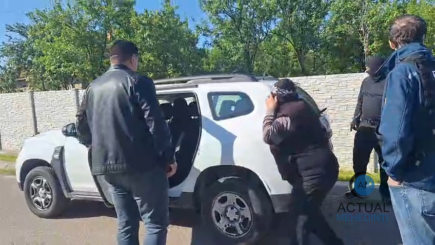 Mehedințeanul acuzat de furt în Belgia ar fi sustras mai mulți porumbei de cursă lungă. Părinții individului, duși la audieri!