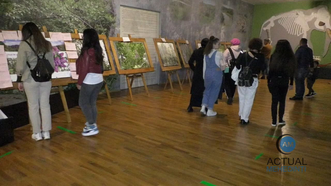 Participare numeroasă la Noaptea Muzeelor, în Severin!
