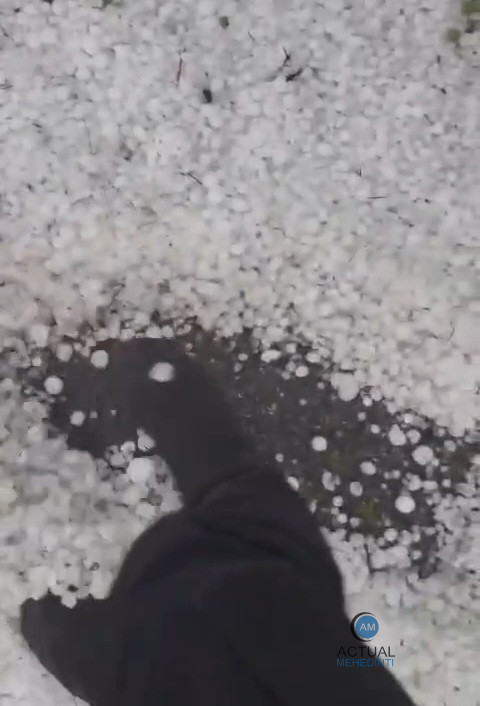 Vremea rea face ravagii în județ. Grindină, în multe localități!