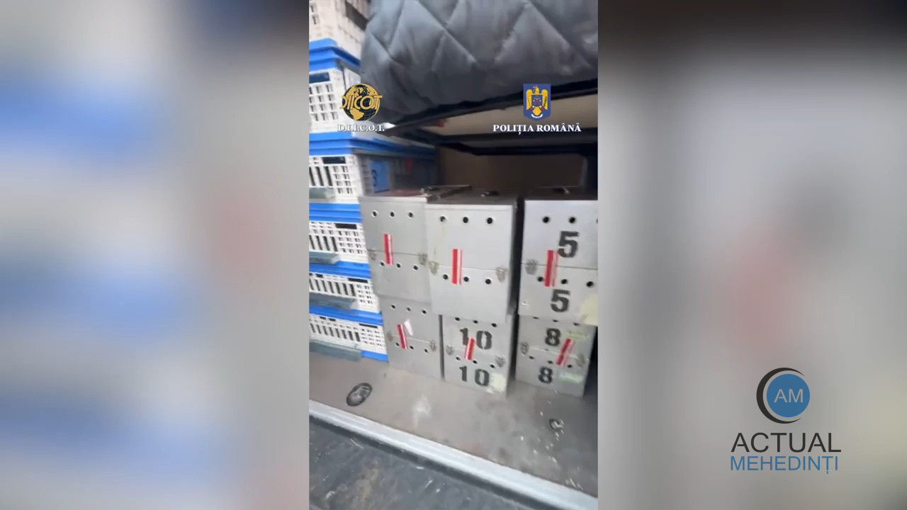 Cei 69 de porumbei furați au fost preluați de autoritățile din Belgia. Prejudiciul se ridică la 2,2 milioane de euro.