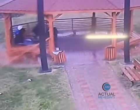 Tinerii, care au vandalizat foișorul din Parcul Tineretului, au fost identificați. Acum, sunt buni de plată.