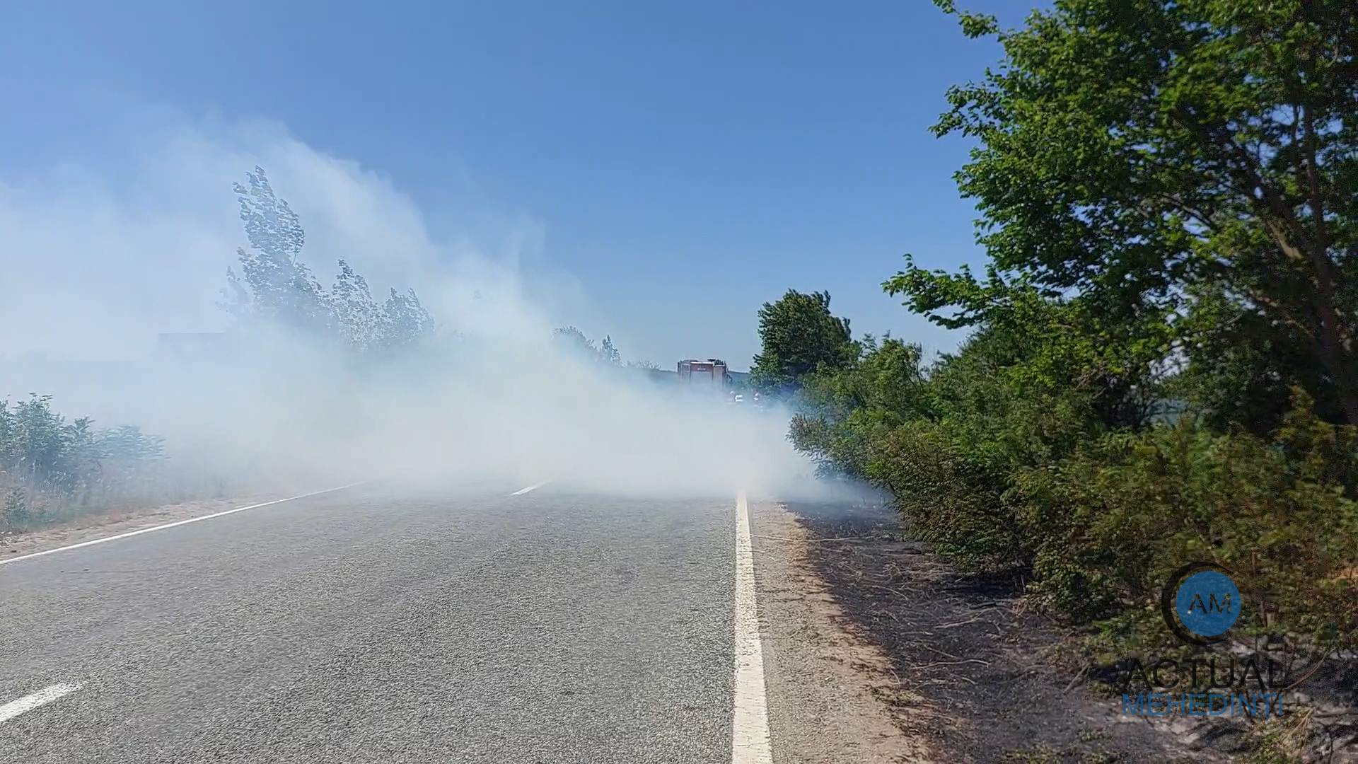 Incendiu de vegetație, aproape de case! Fumul dens a îngreunat circulația rutieră.