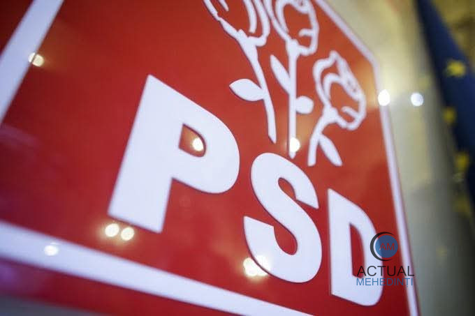 Senatorul PSD Oana Buzatu: „Nu s-a negociat nicio funcție. PSD va decide democratic dacă intră la guvernare”