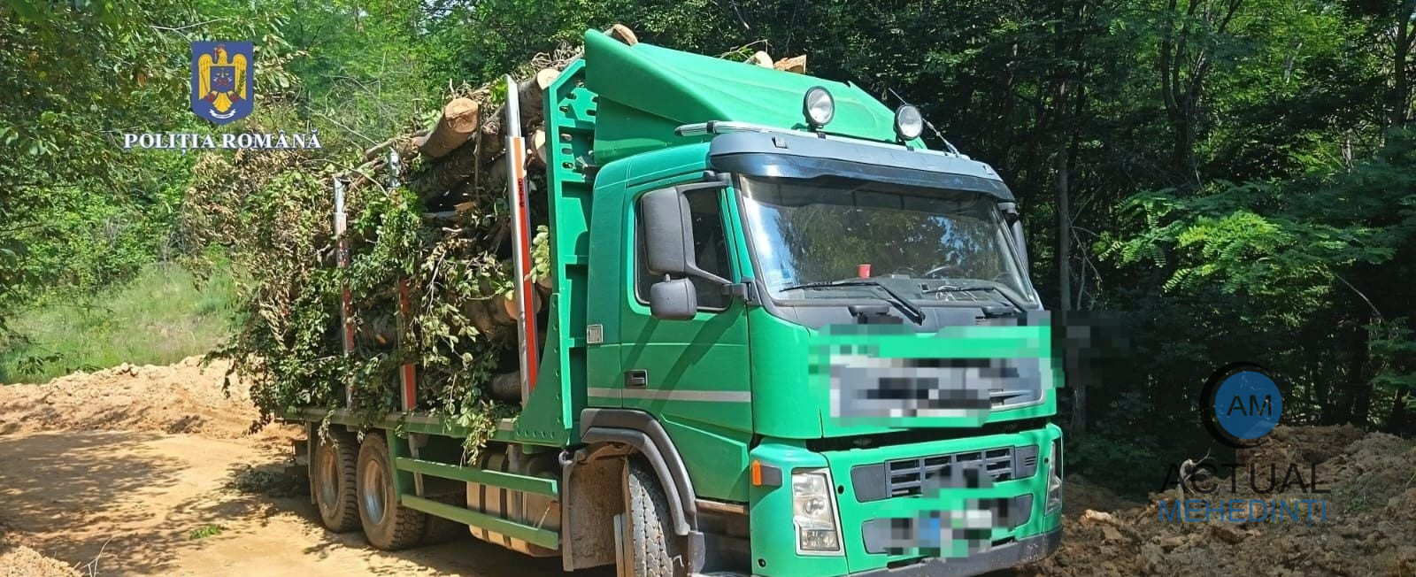 Prins în timp ce transporta lemne fără a avea acte de proveniență! Lemnele și vehiculul, indisponibilizate de poliție!