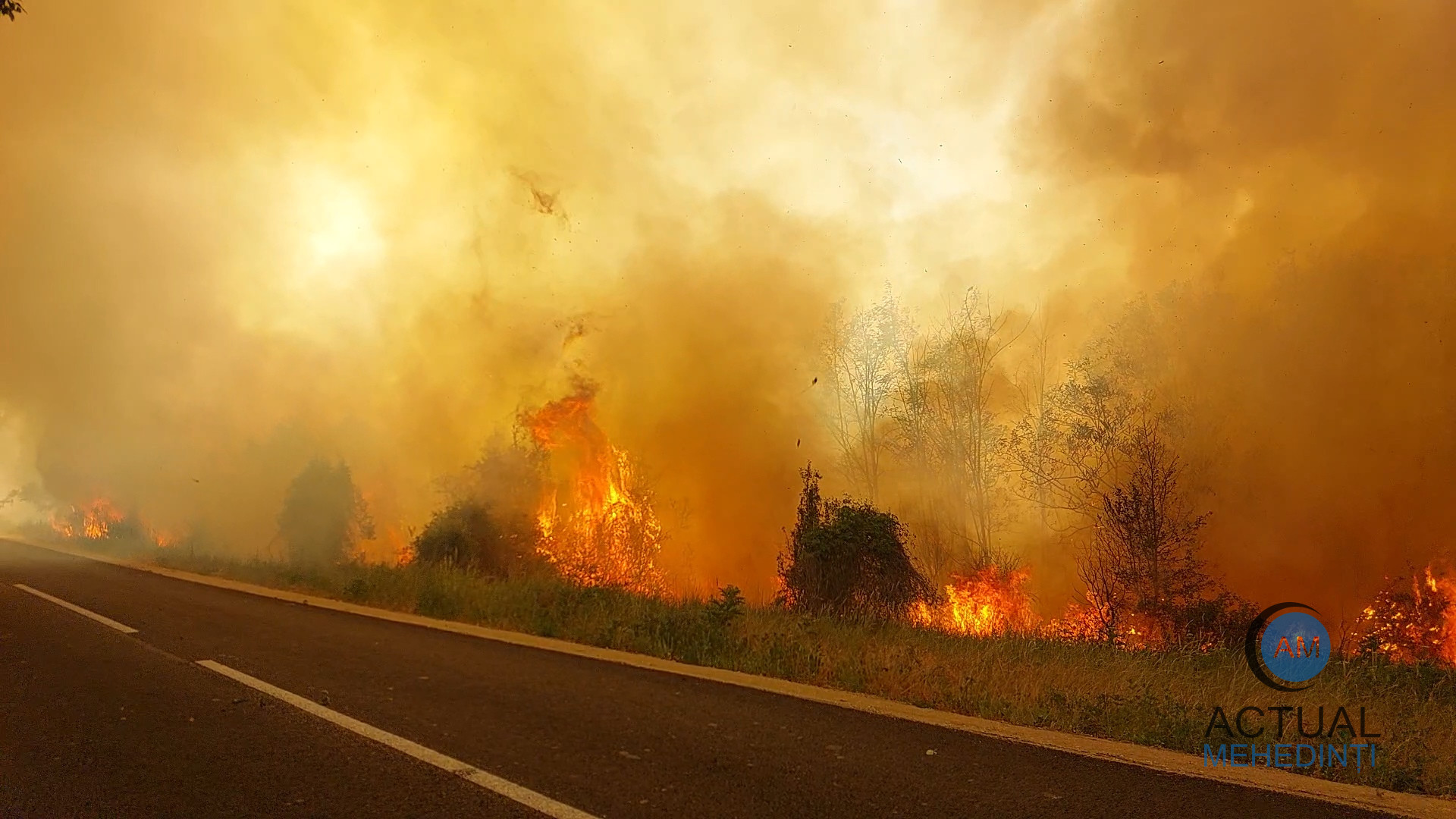 Incendiu de vegetație, extins în pădure, în satul Scăpău! Flăcările se appropie de locuințe.