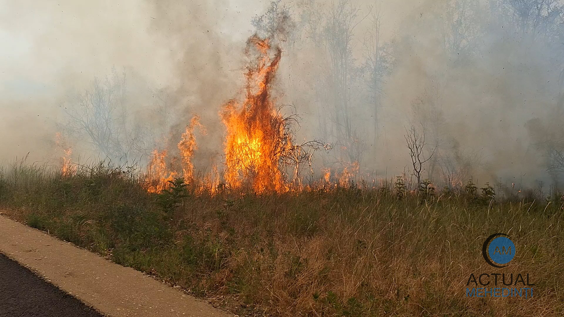 Incendiu de vegetație la Orșova: 5 hectare, afectate!