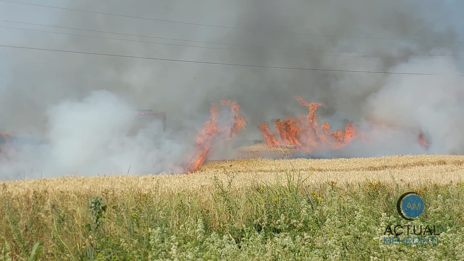 Incendiile de vegetație fac ravagii în județ: peste 2.000 de hectare, afectate de flăcări!
