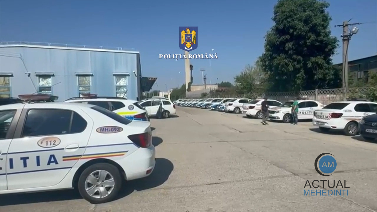 Arestați, după ce s-au bătut și și-au distrus mașinile!