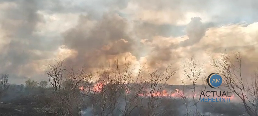 46 de hectare de vegetație, afectate de incendii, într-o singură zi!